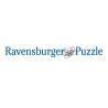 ravensburger